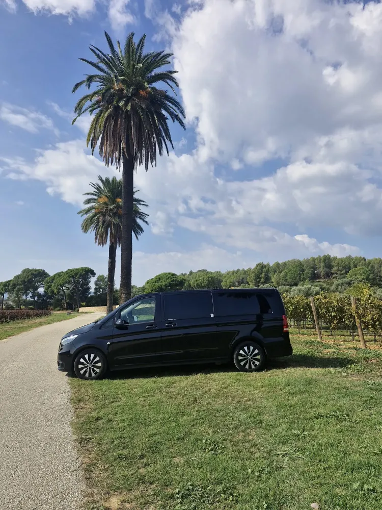 Taxi & VTC Sud Varois - véhicules (22)webp